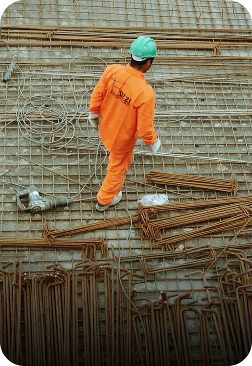 Trabajo colaborativo y disciplinario